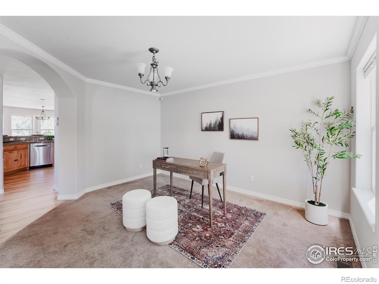 3105 Dandy Lion Lane