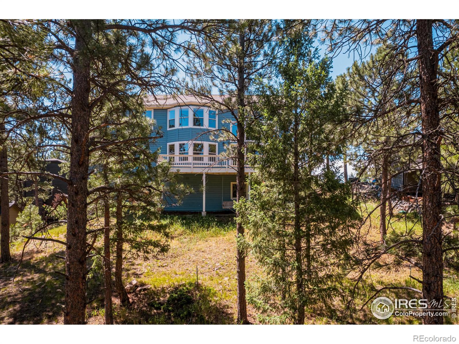 3105 Dandy Lion Lane