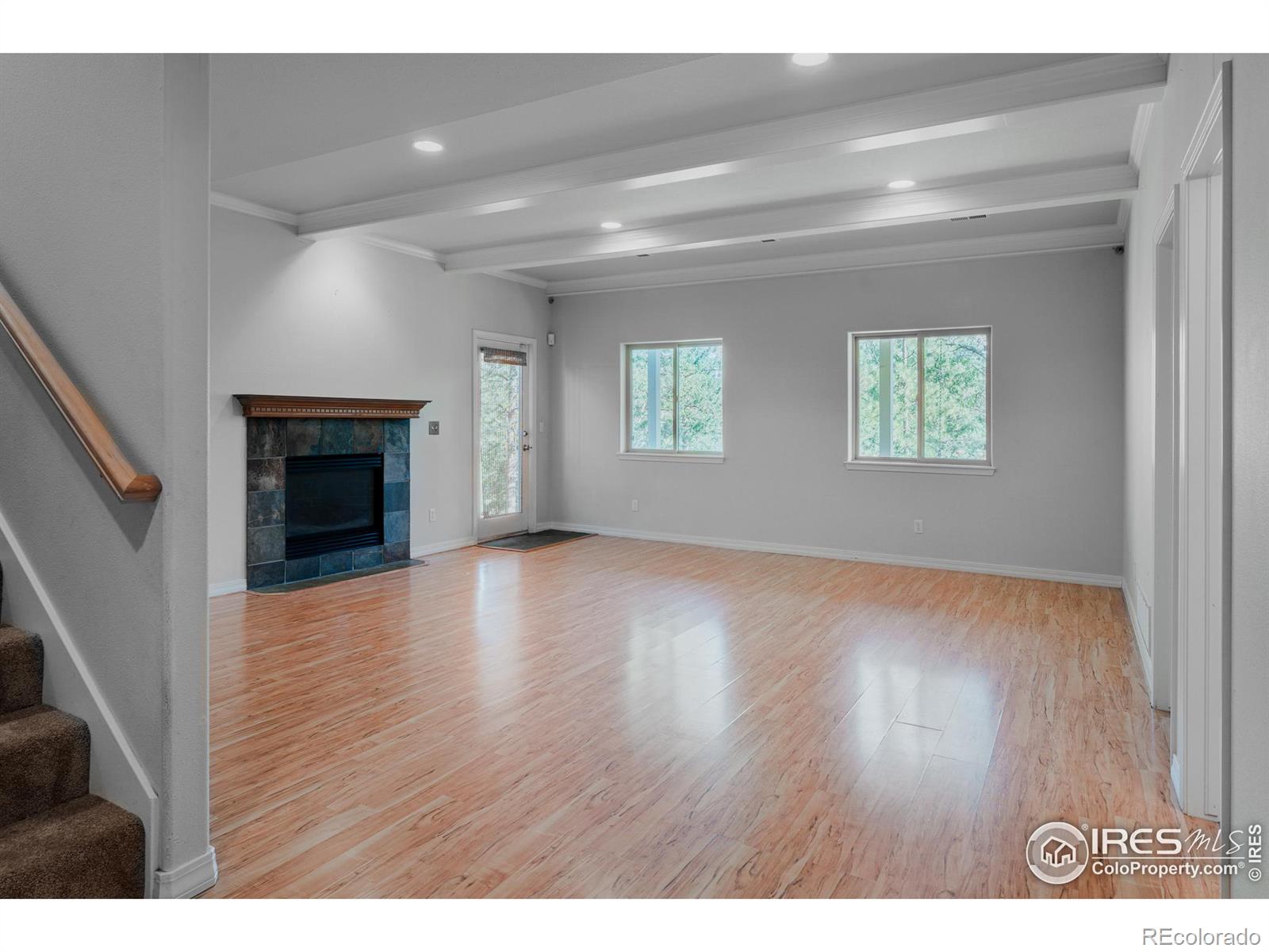 3105 Dandy Lion Lane