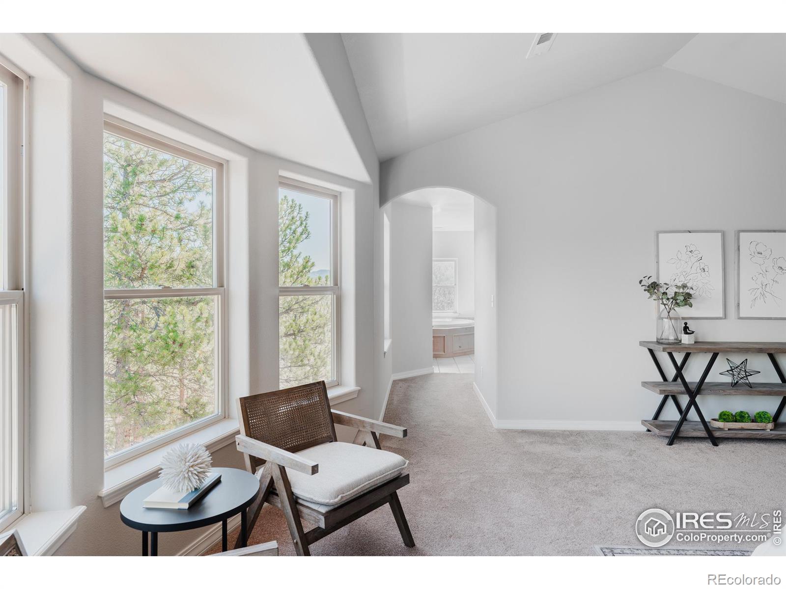 3105 Dandy Lion Lane