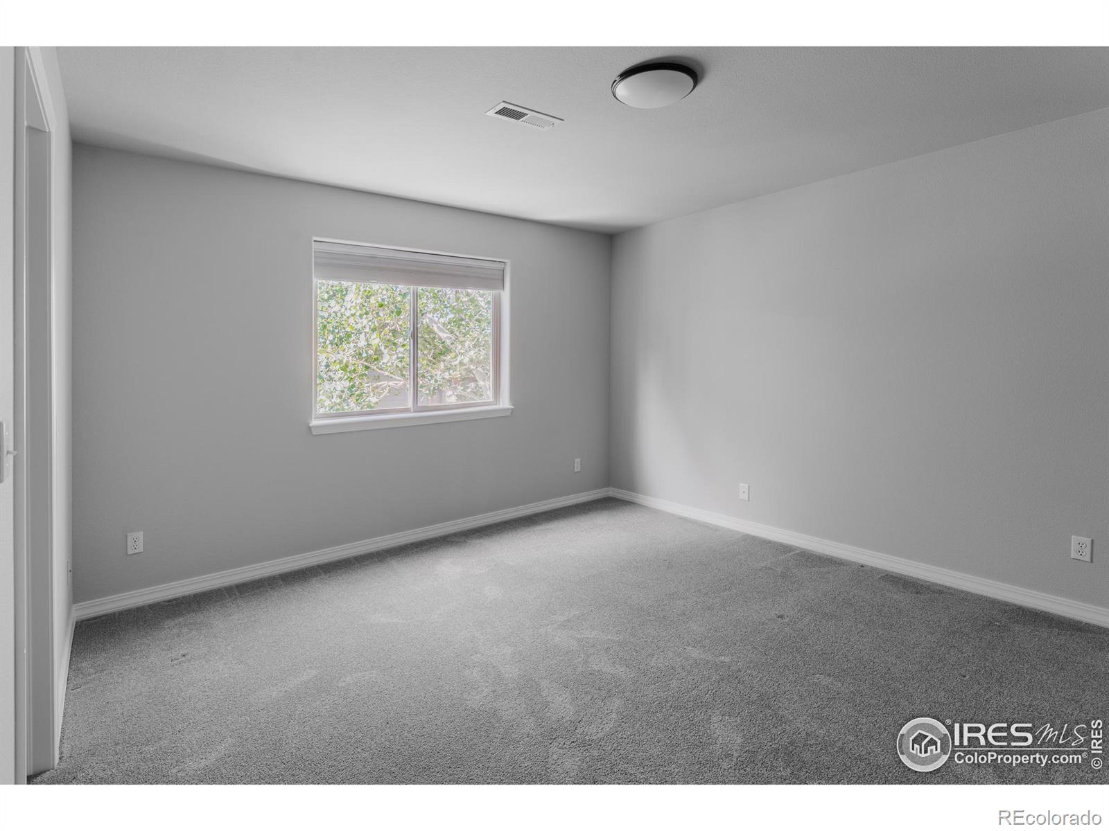 3105 Dandy Lion Lane