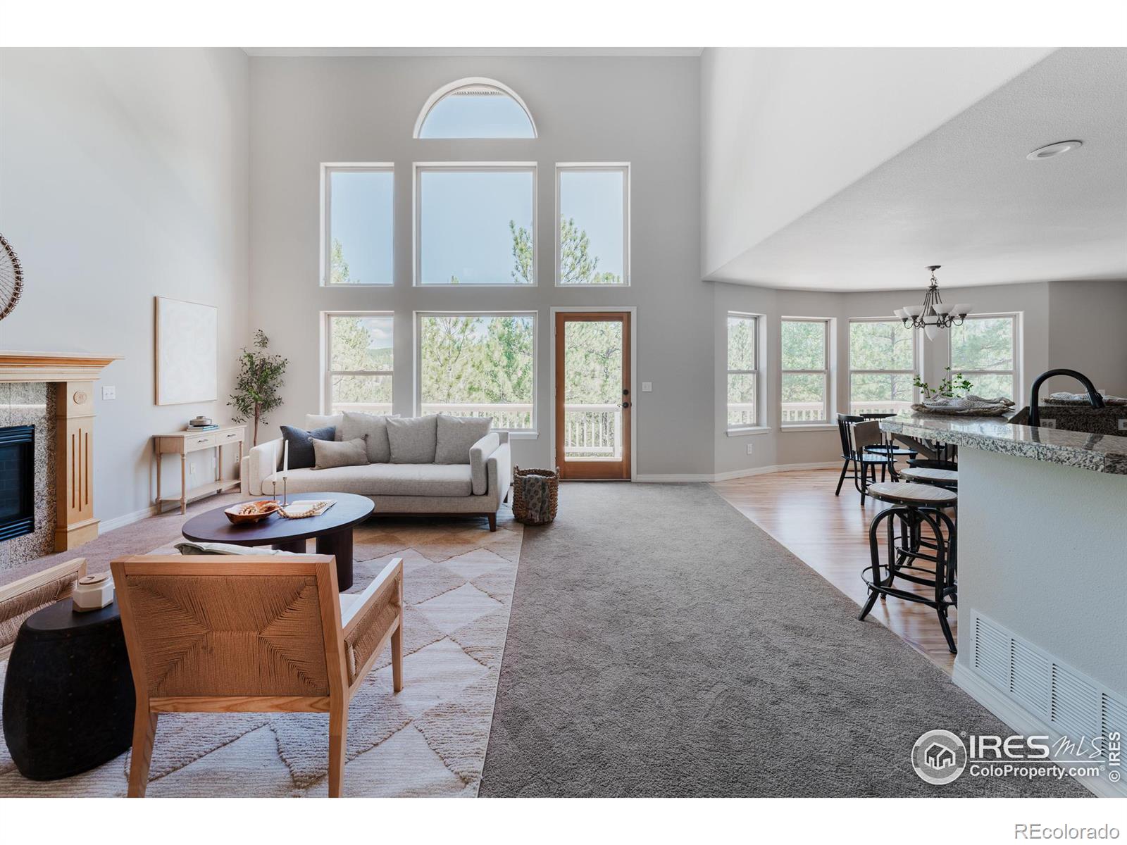 3105 Dandy Lion Lane