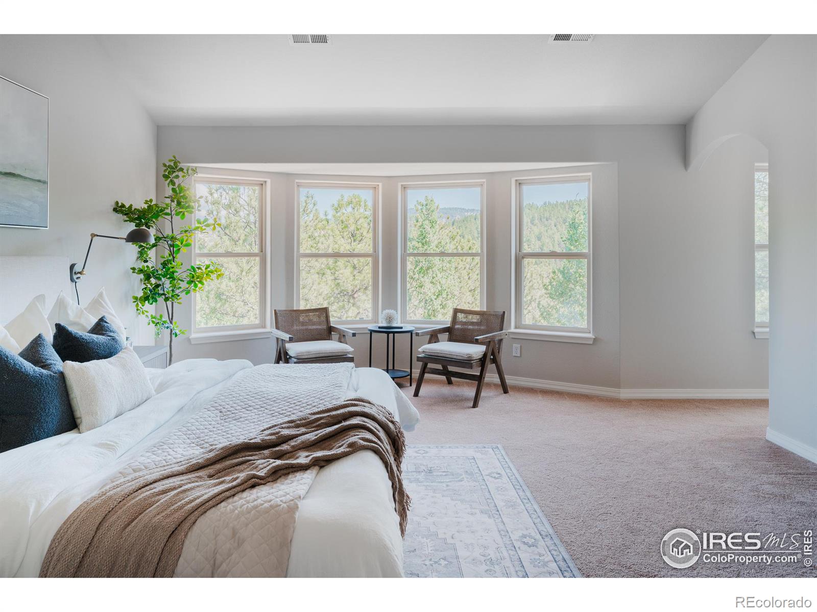 3105 Dandy Lion Lane