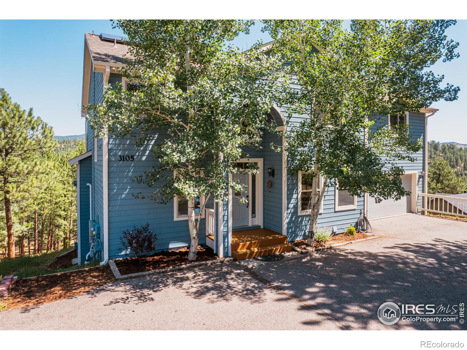 3105 Dandy Lion Lane
