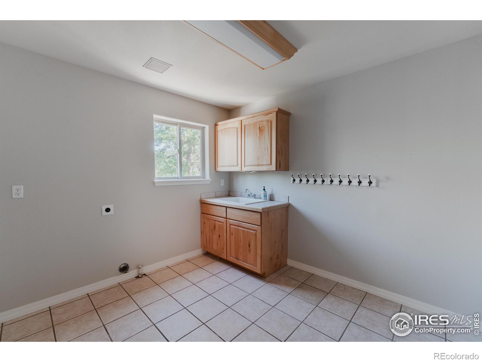 3105 Dandy Lion Lane