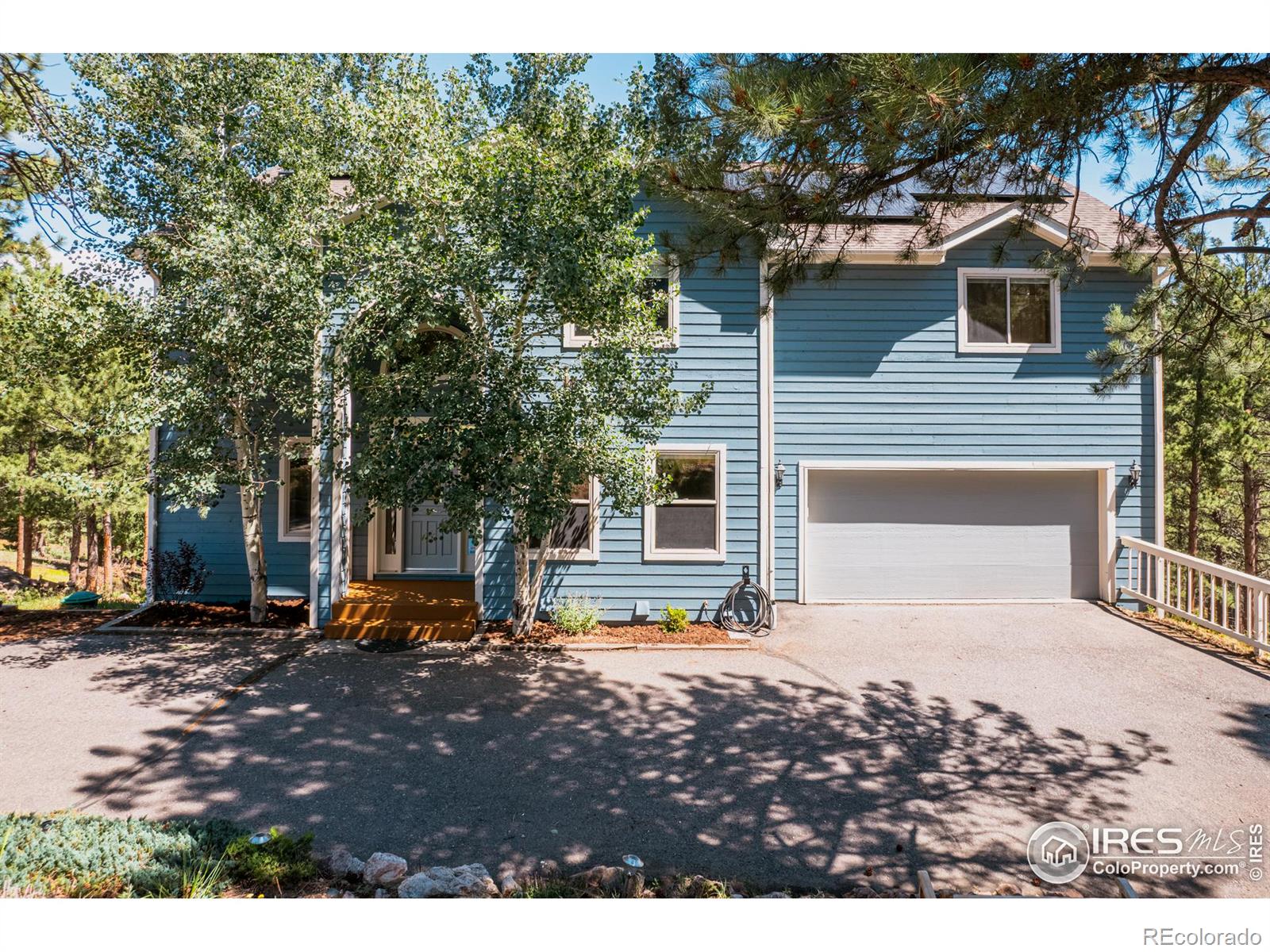 3105 Dandy Lion Lane