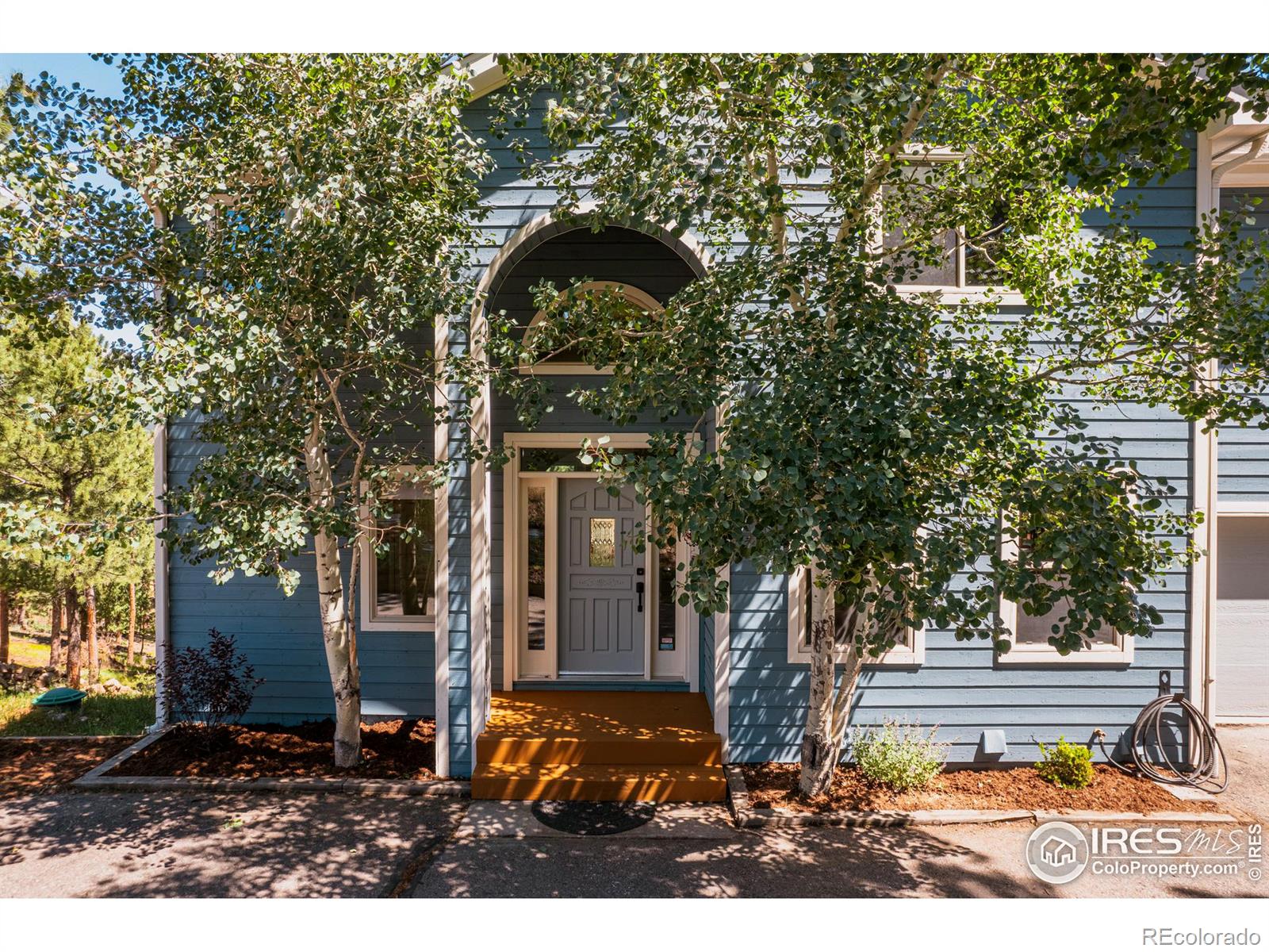 3105 Dandy Lion Lane