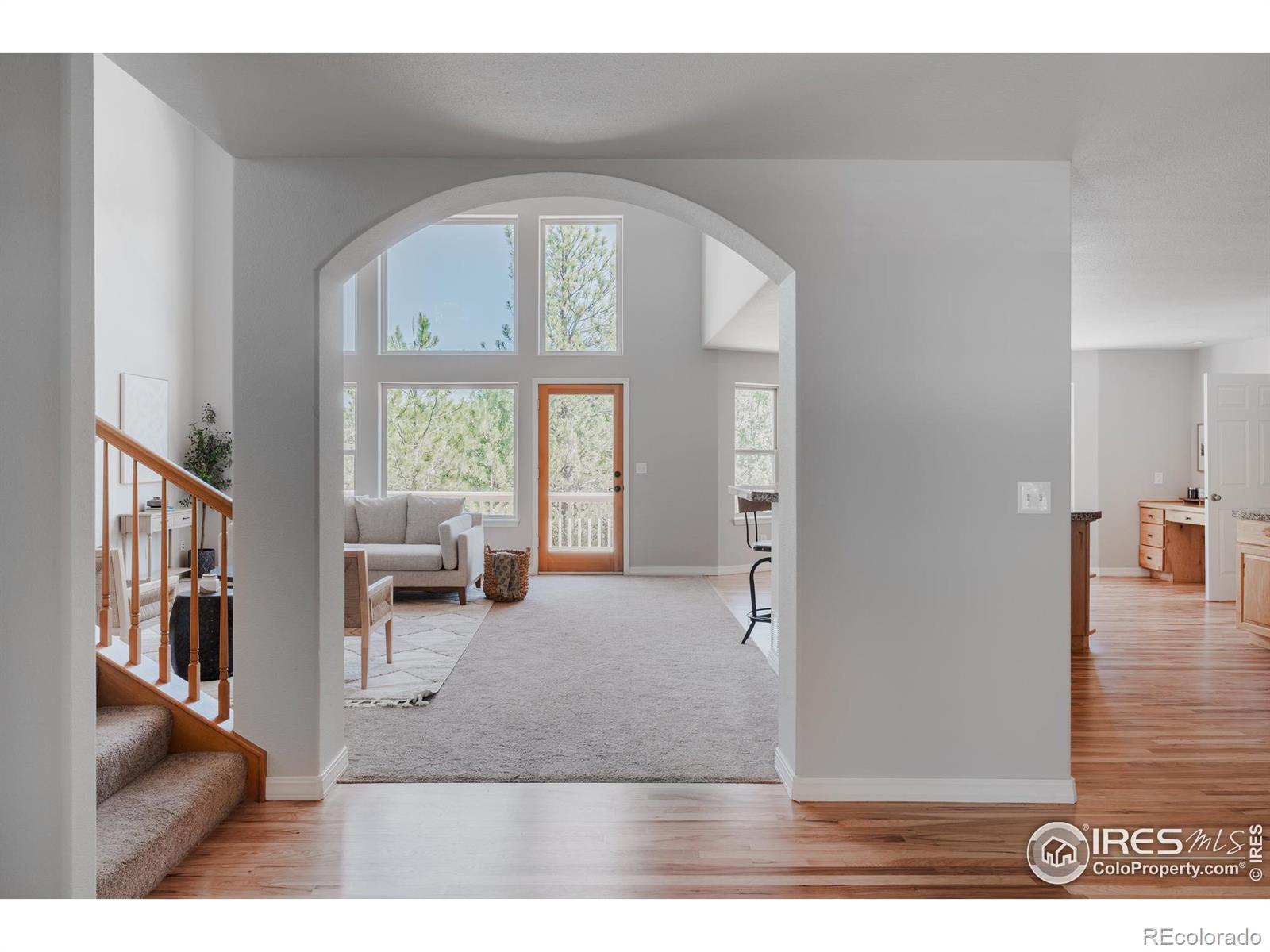 3105 Dandy Lion Lane
