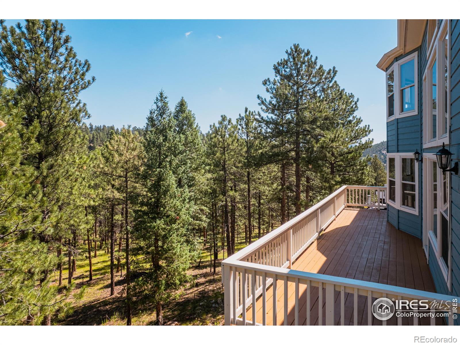 3105 Dandy Lion Lane