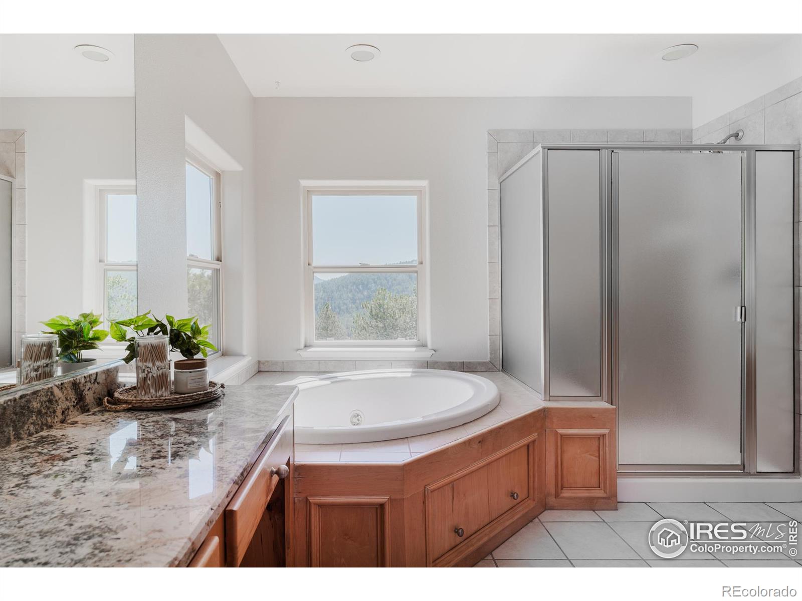 3105 Dandy Lion Lane
