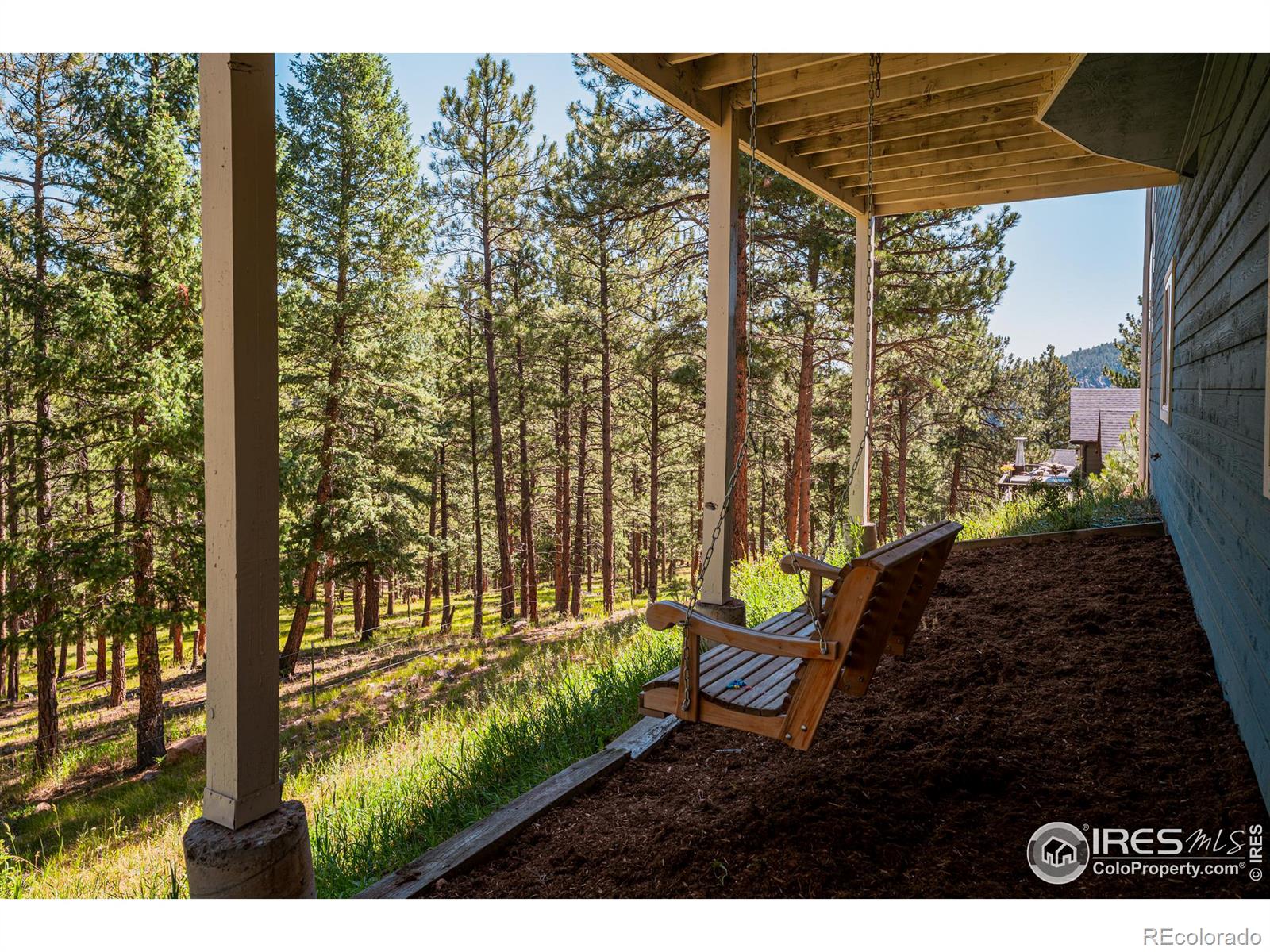 3105 Dandy Lion Lane