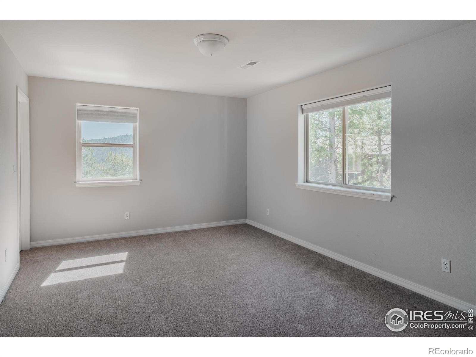 3105 Dandy Lion Lane