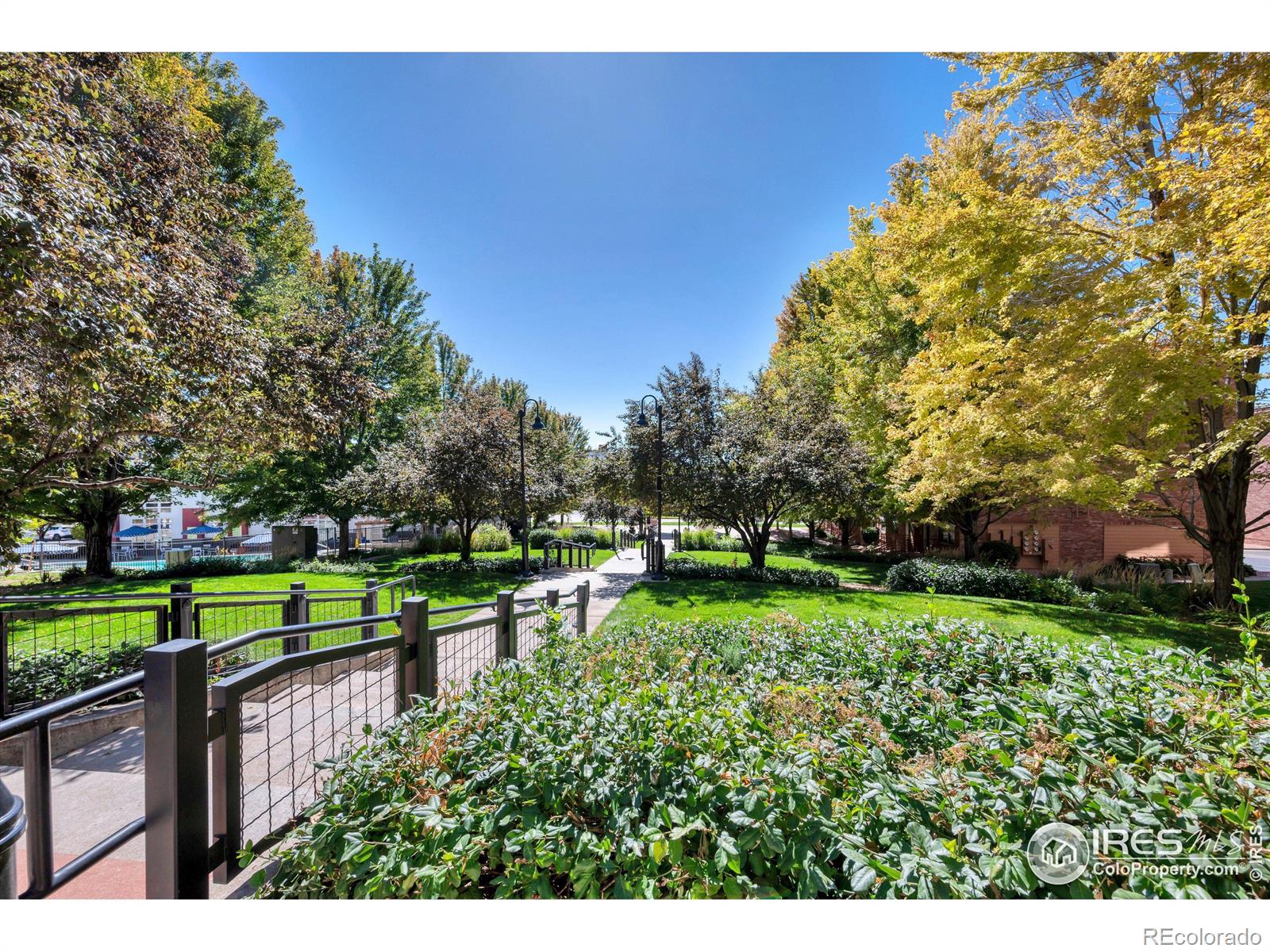 7931 W 55th Avenue Unit: 111