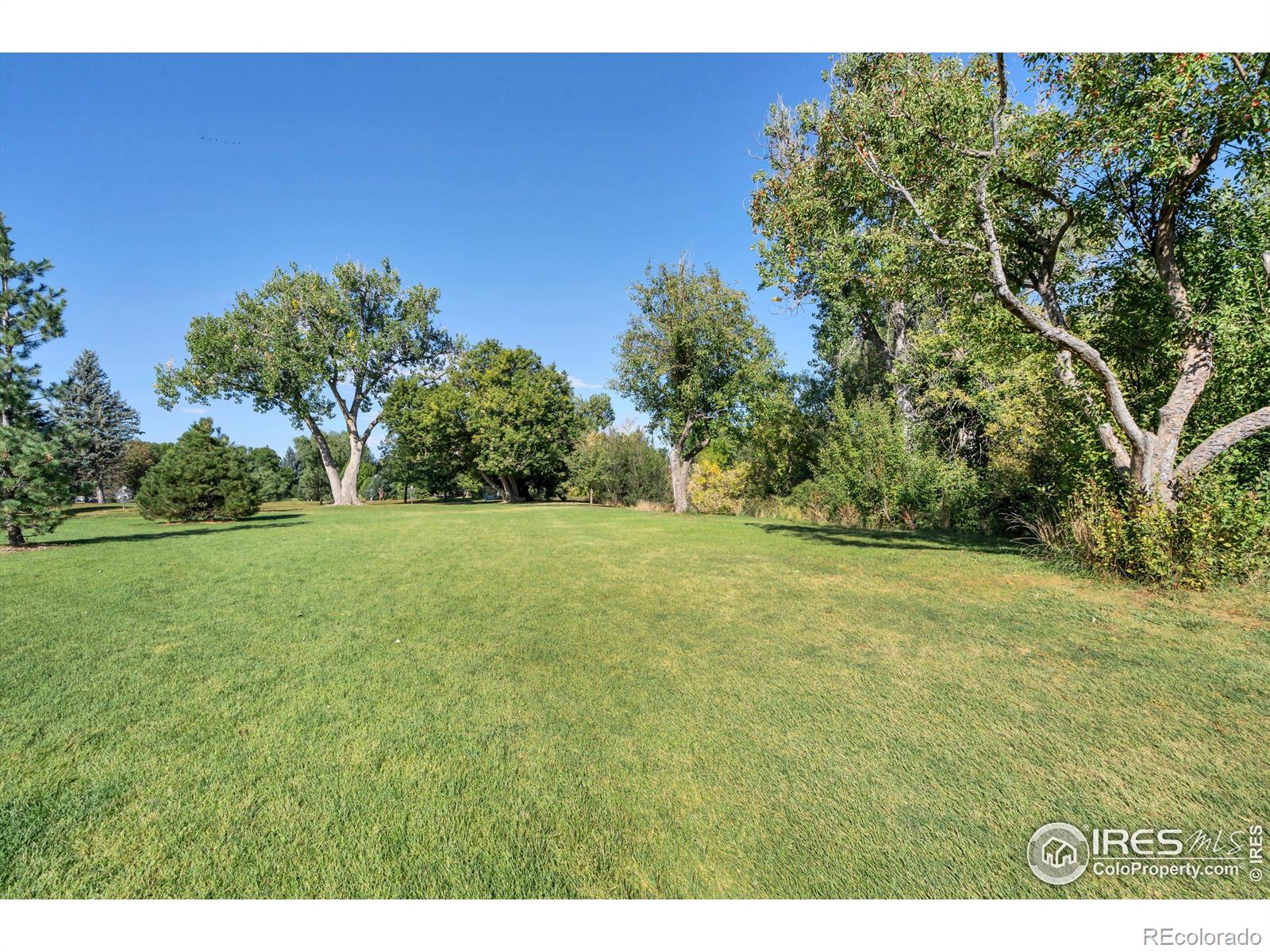 7931 W 55th Avenue Unit: 111