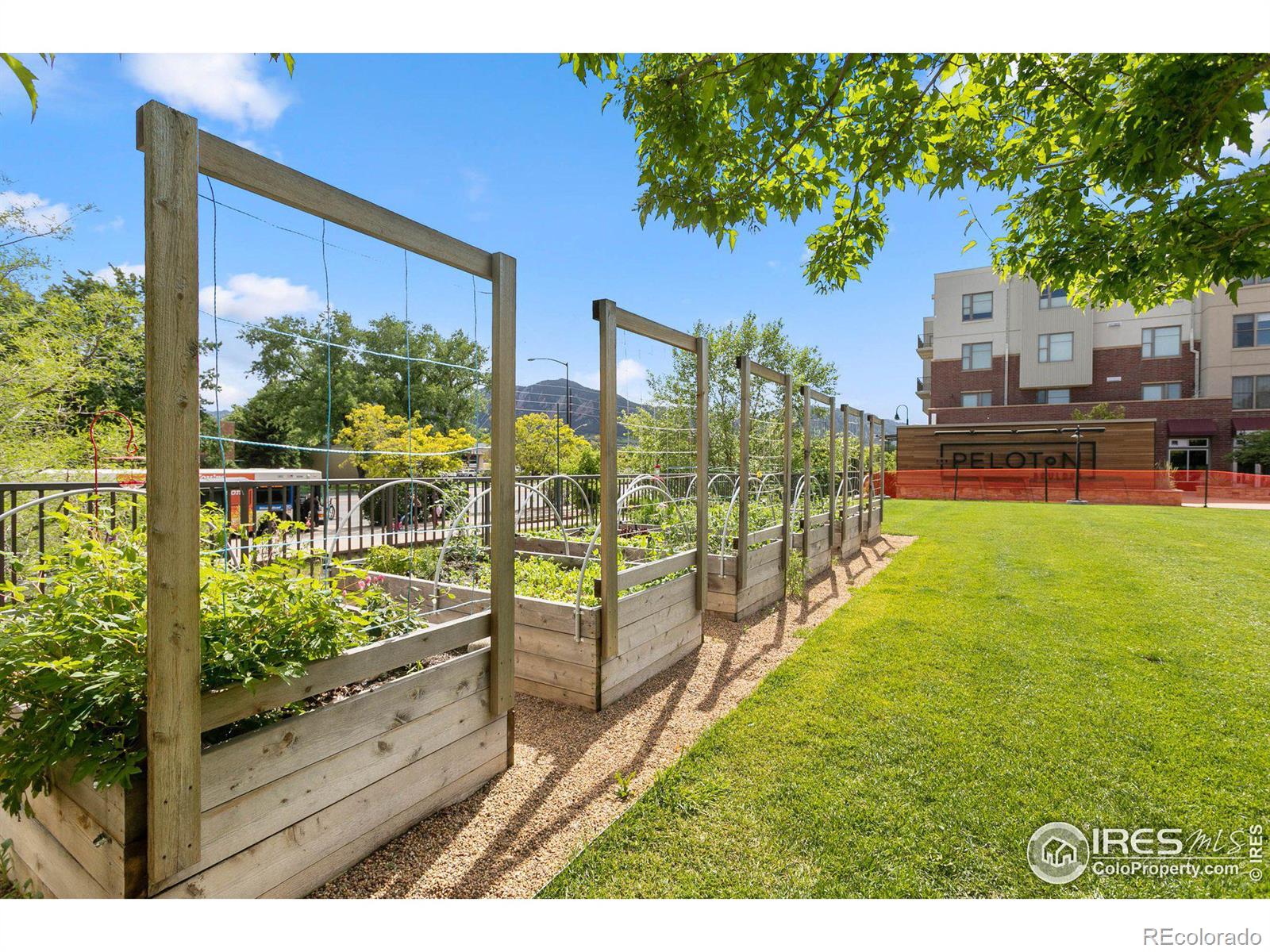 3701 Arapahoe Avenue Unit: 309