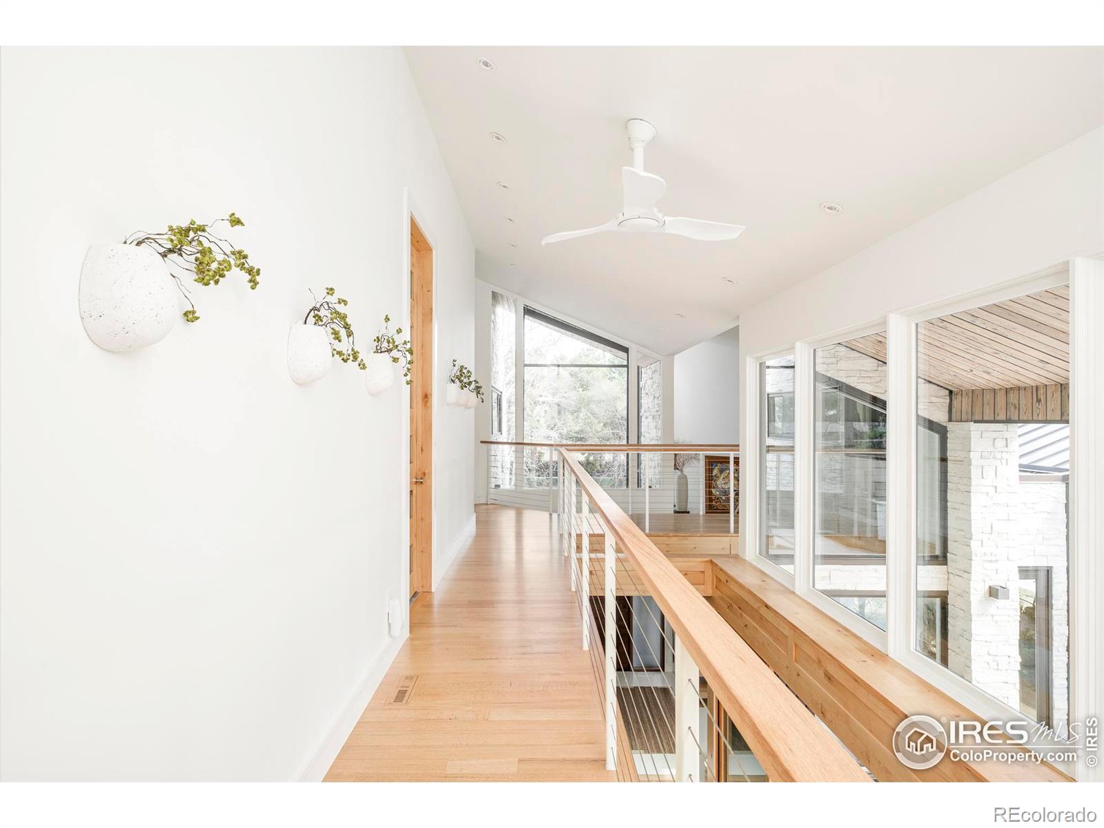 35 Dahlia Street