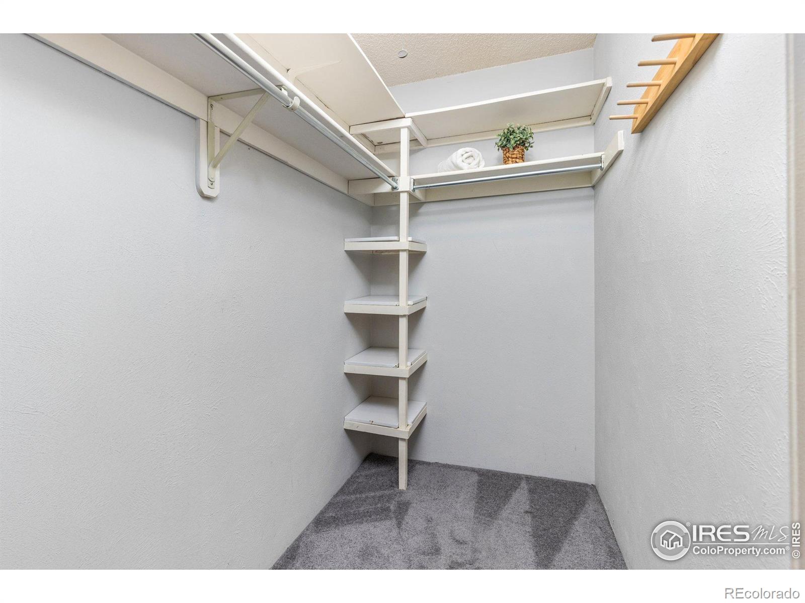 4725 Spine Road Unit: E