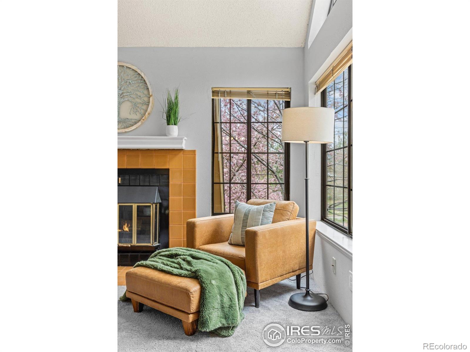 4725 Spine Road Unit: E