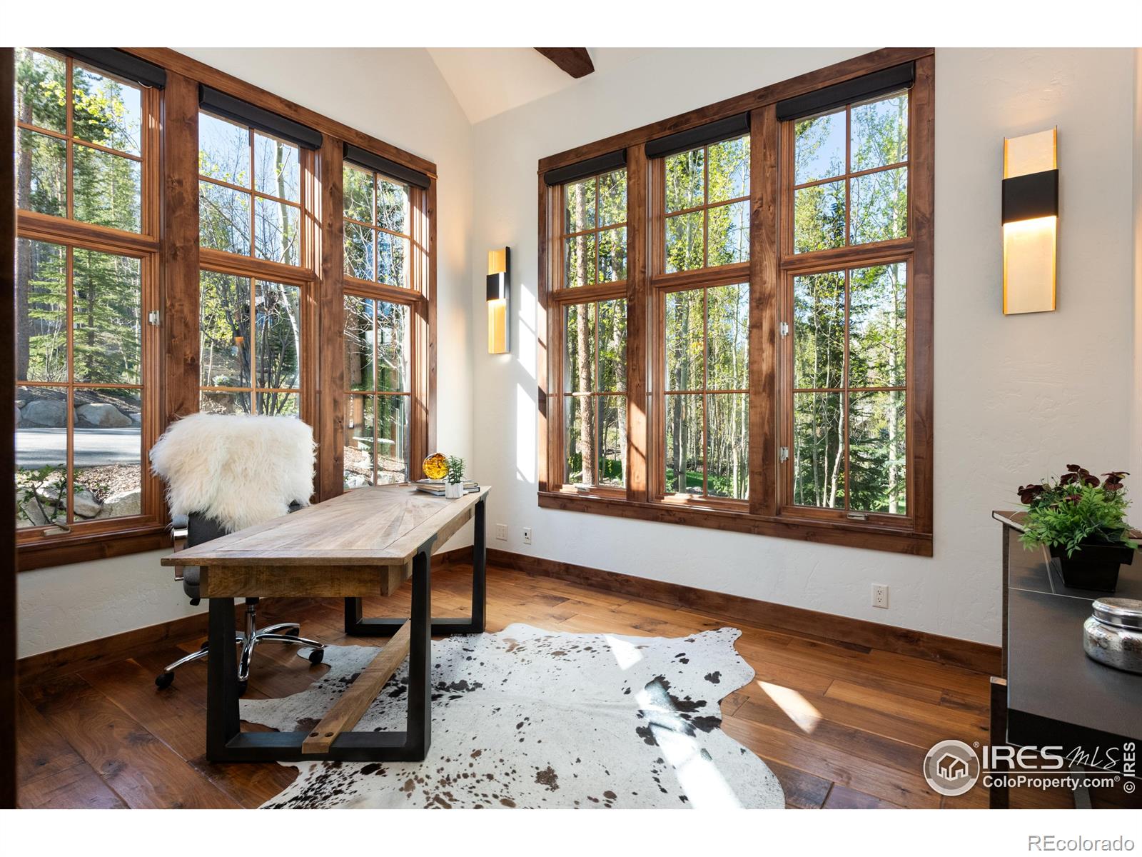 41 Stillson Placer Terrace