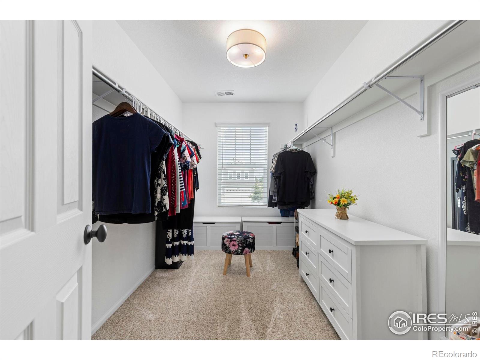 833 Audubon Peak Drive