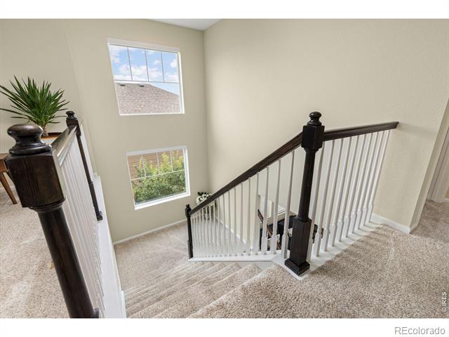833 Audubon Peak Drive