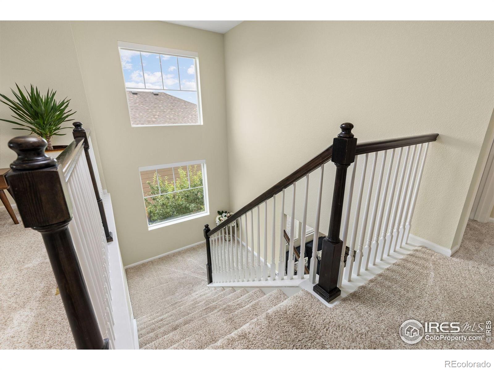 833 Audubon Peak Drive