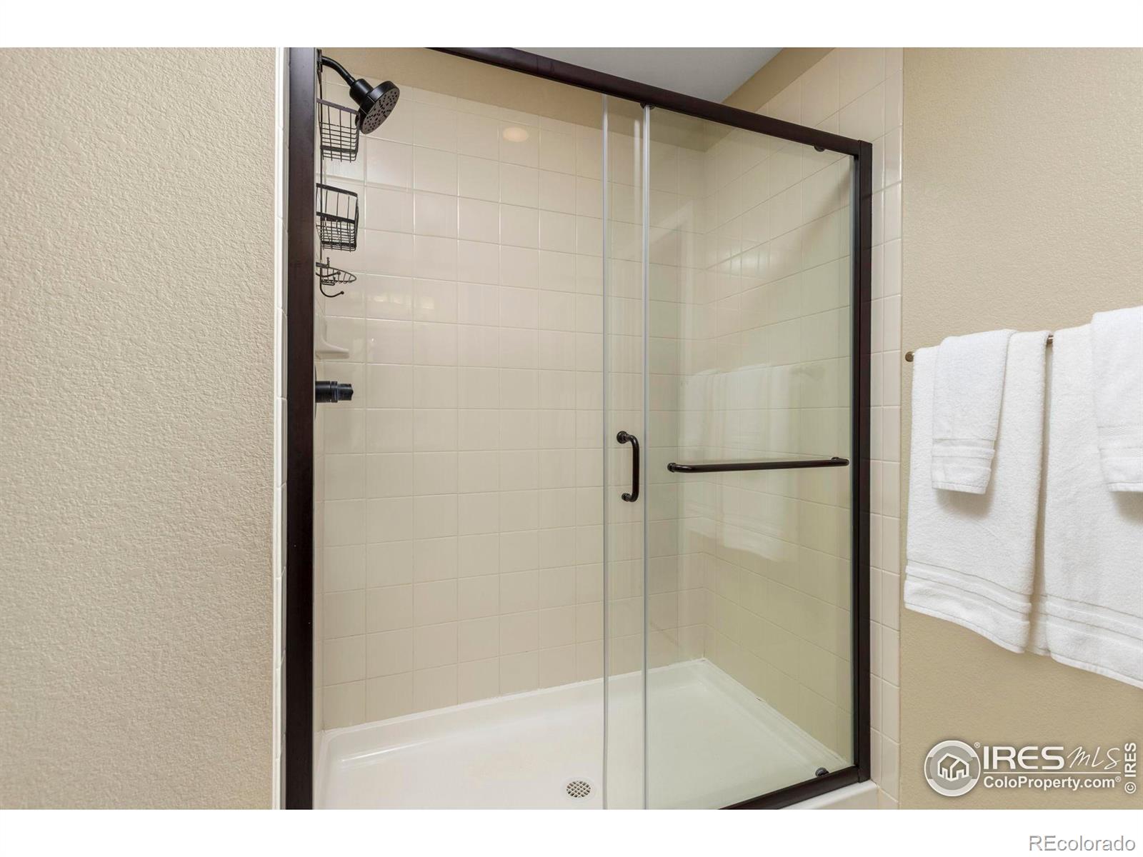 833 Audubon Peak Drive