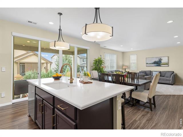 833 Audubon Peak Drive