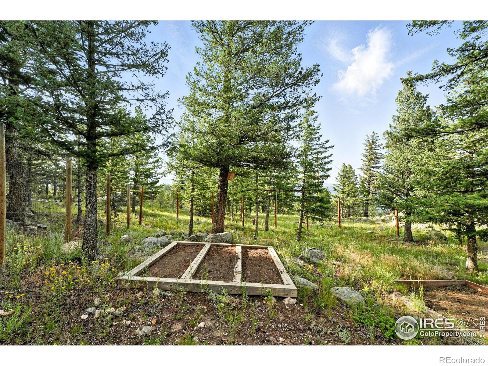 1575 Deer Trail Road