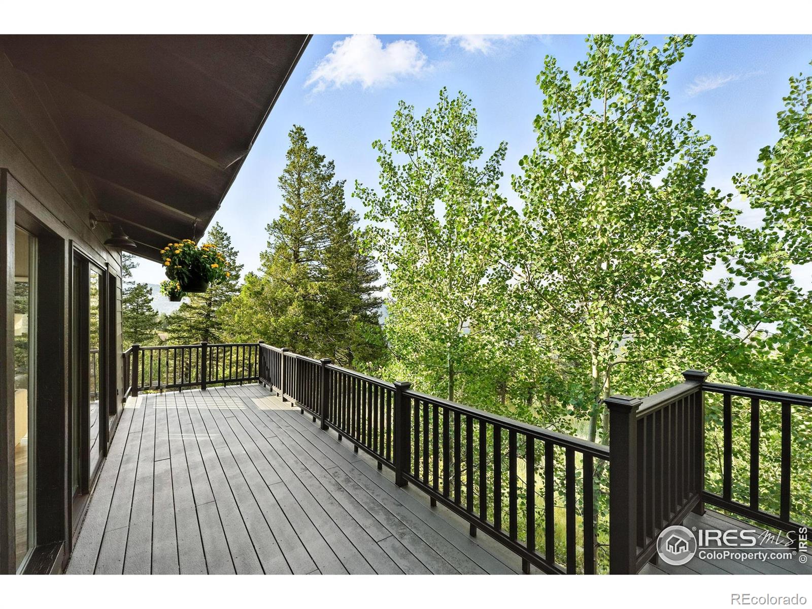 1575 Deer Trail Road