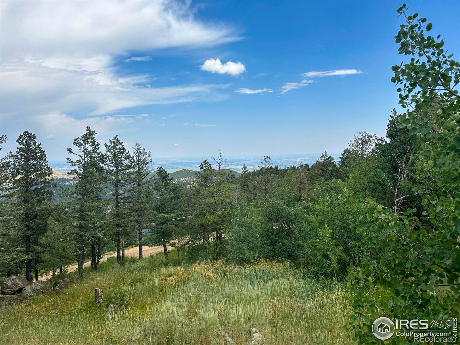 1575 Deer Trail Road
