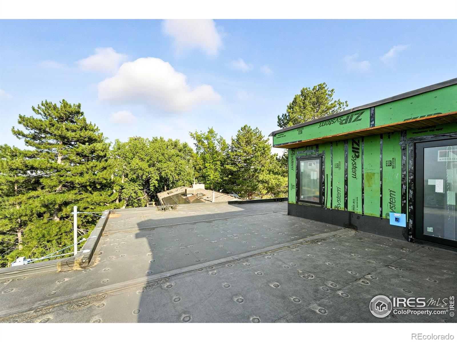 2955 Stanford Avenue