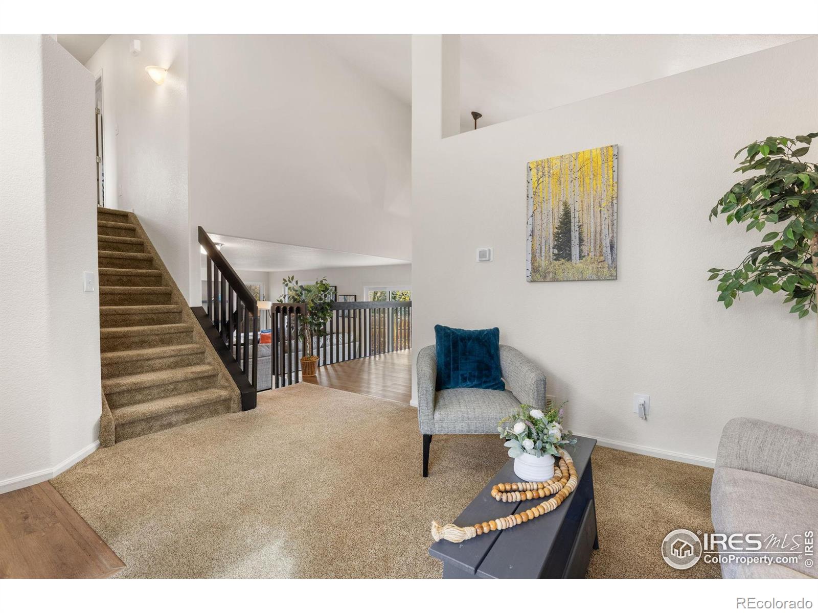 374 Tynan Drive