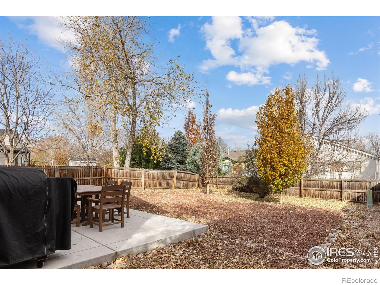 374 Tynan Drive