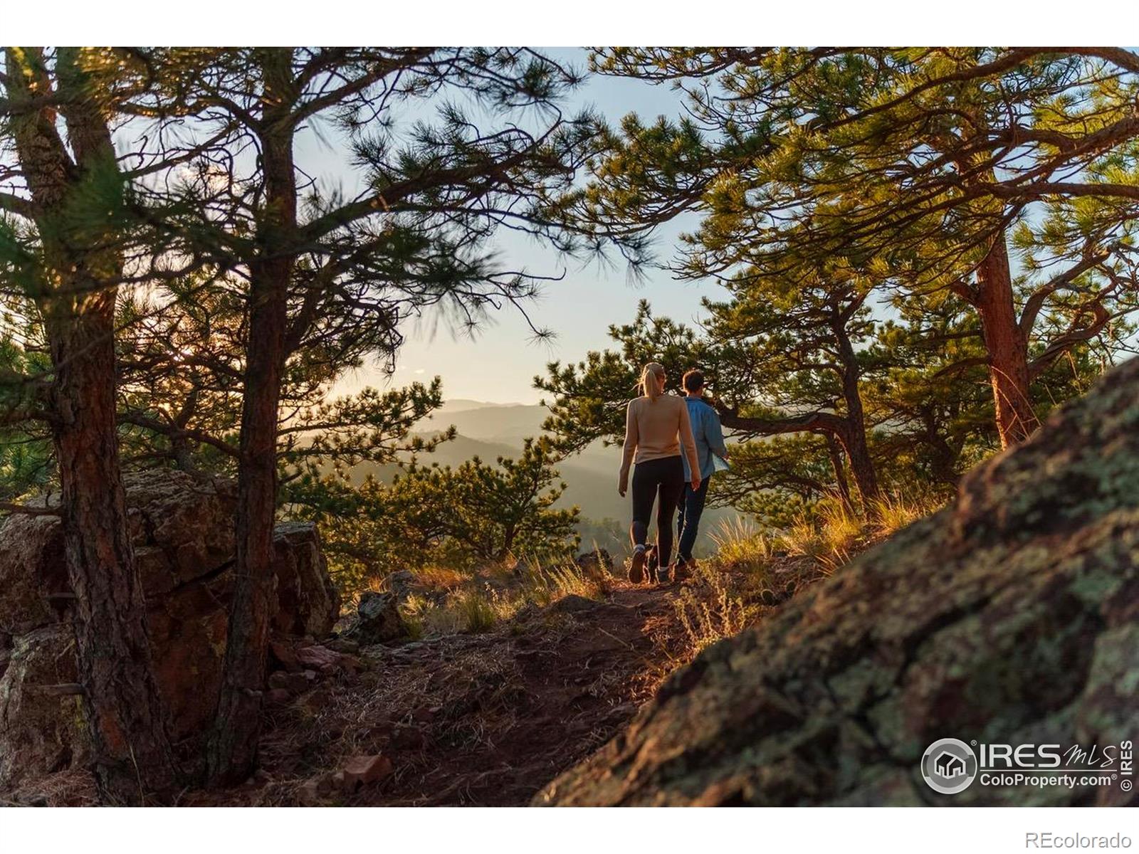 634 Fountaintree Lane