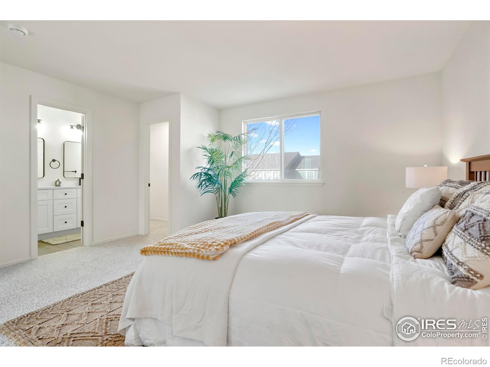 5619 Blue Mountain Circle