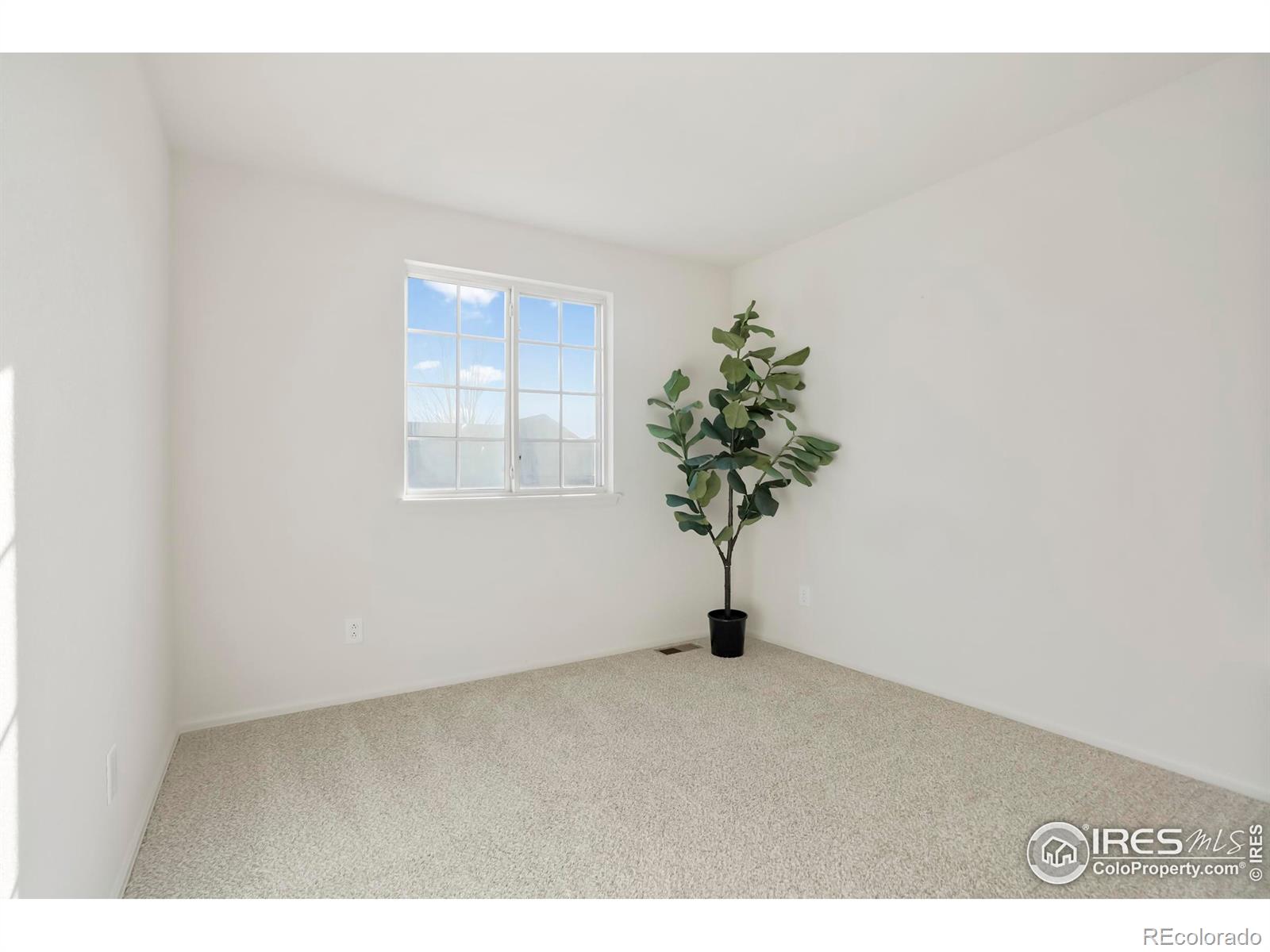 5619 Blue Mountain Circle