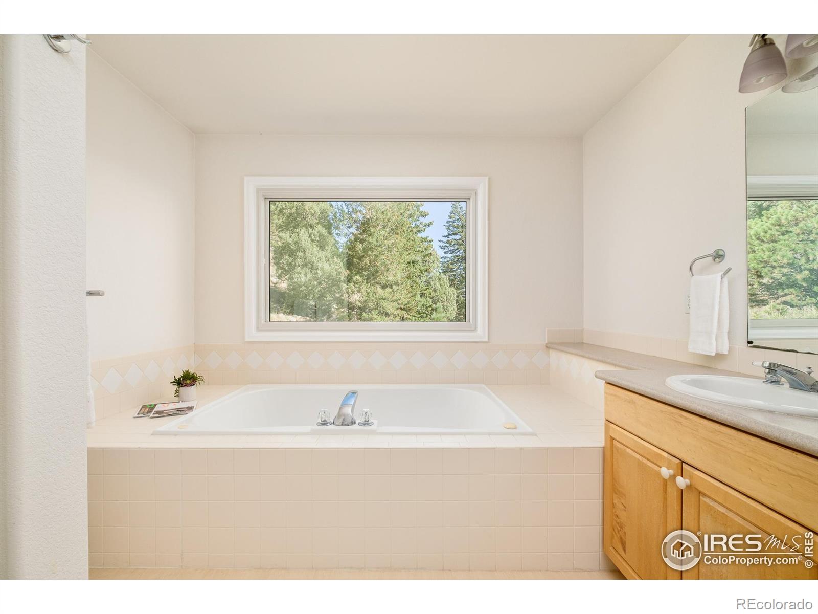 270 Canon View Road