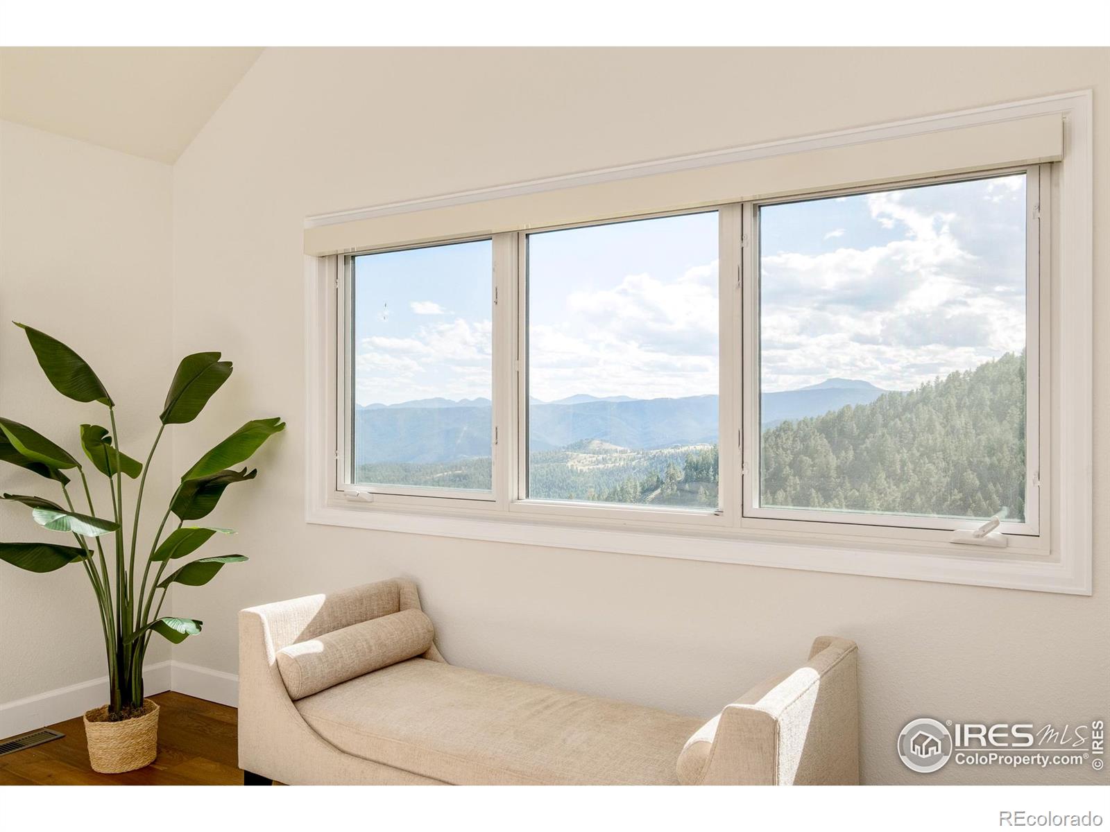270 Canon View Road