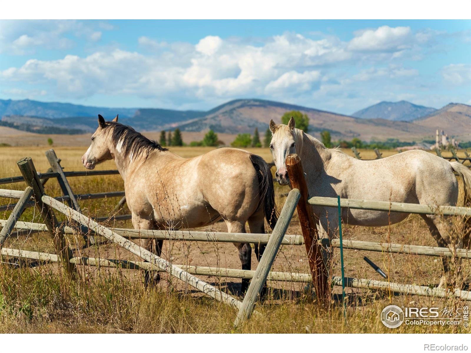 5336 Caribou Springs Trail