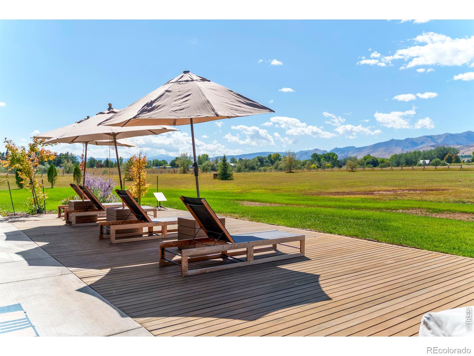 5336 Caribou Springs Trail