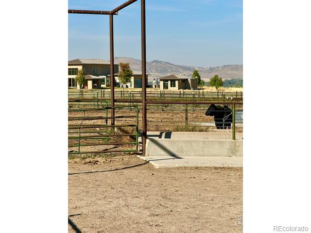 11534 Eagle Springs Trail