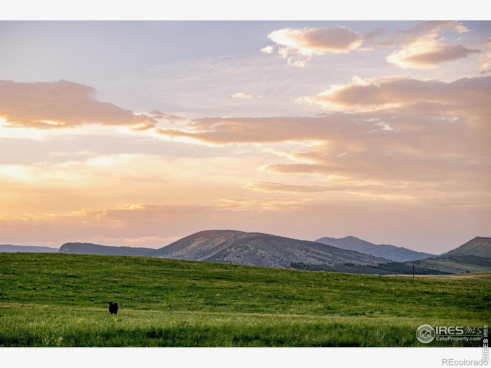 11534 Eagle Springs Trail