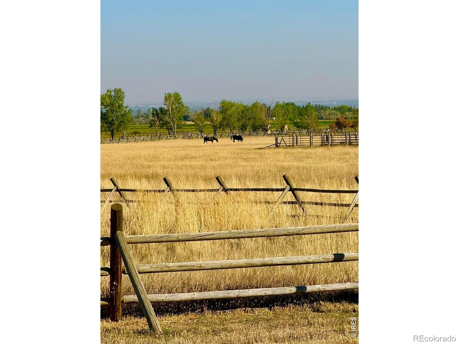 11534 Eagle Springs Trail