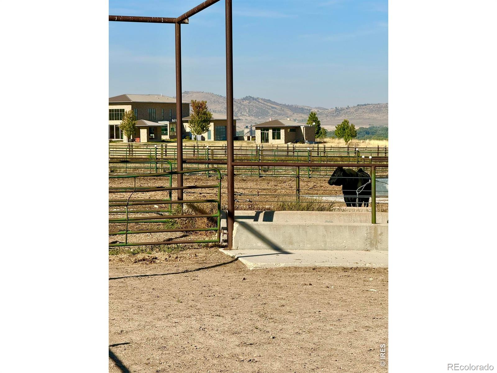 11534 Eagle Springs Trail