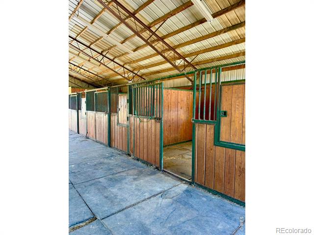 11534 Eagle Springs Trail