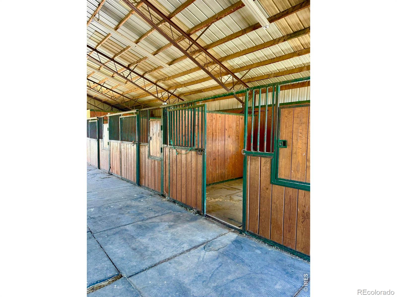 11534 Eagle Springs Trail