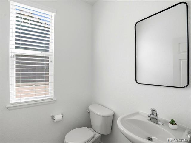 1633 Hallet Peak Drive