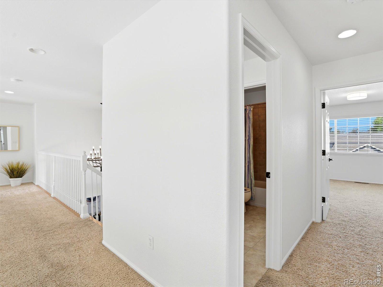1633 Hallet Peak Drive