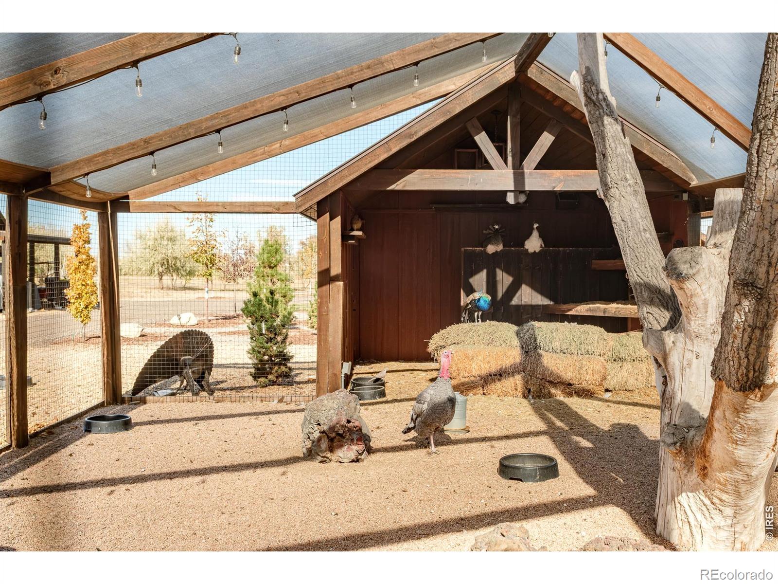 9816 County Road 7 Road